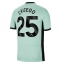 Chelsea Moises Caicedo #25 Replika Tredjetröja 2023-24 Kortärmad